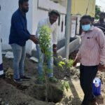 Tree Plantation Drive